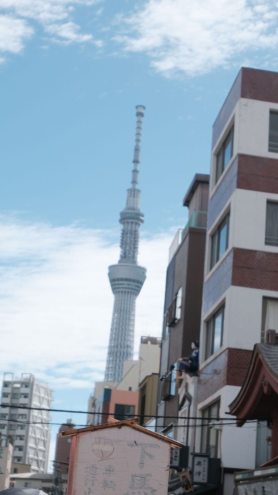 浅草花やしきで遊ぶ子どもたち。手をつないで歩く姉妹、黄色い車の乗りもの、高いところを回る乗りもの、浅草の街から見える東京スカイツリー